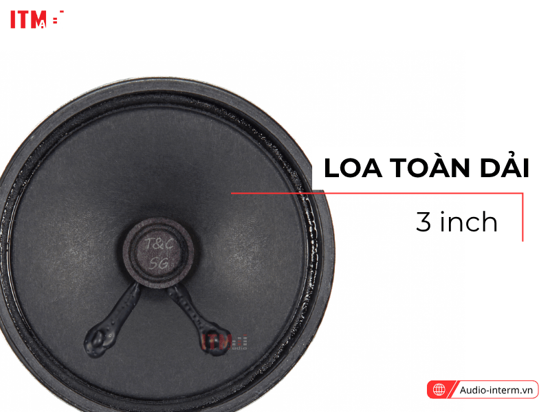 Loa Âm Trần Inter M CS 301FC (2)