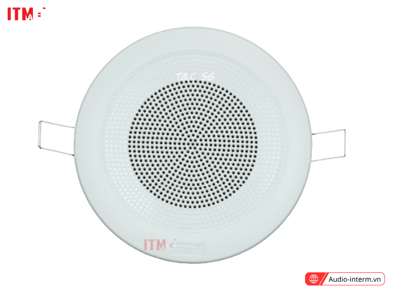 Loa Âm Trần Inter M CS 301FC (3)