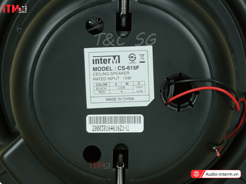 Loa Âm Trần Inter M CS 615F (1)