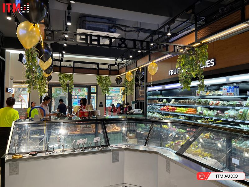 loa treo tuong bose cho showroom