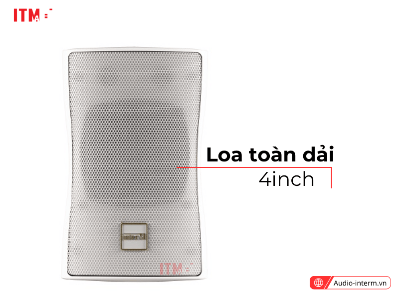 loa treo tường ci 20t (1)