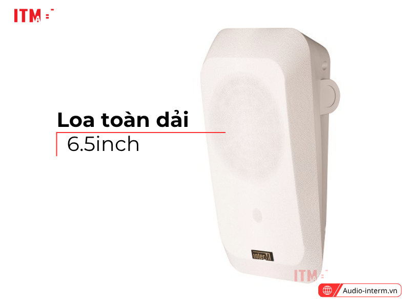 loa treo tường iws 10 (2)
