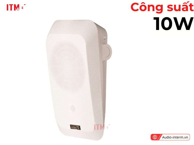 loa treo tường iws 10a (1)