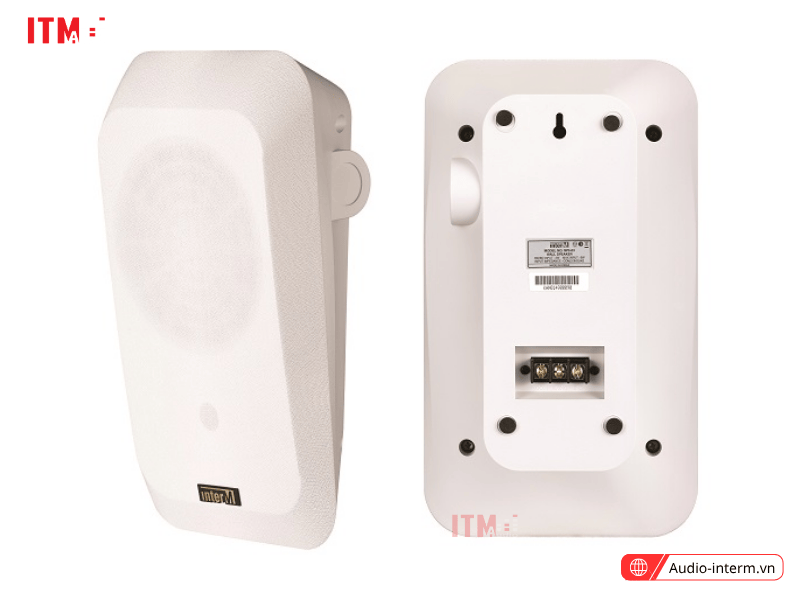 loa treo tường iws 10a (2)