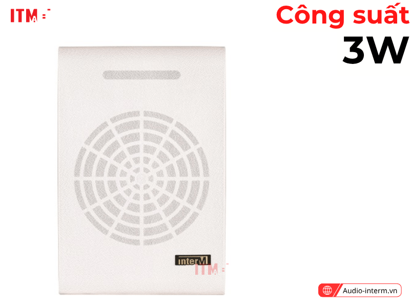 loa treo tường sws 03