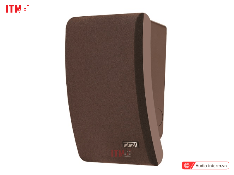 loa treo tường inter m sws 03a (2)