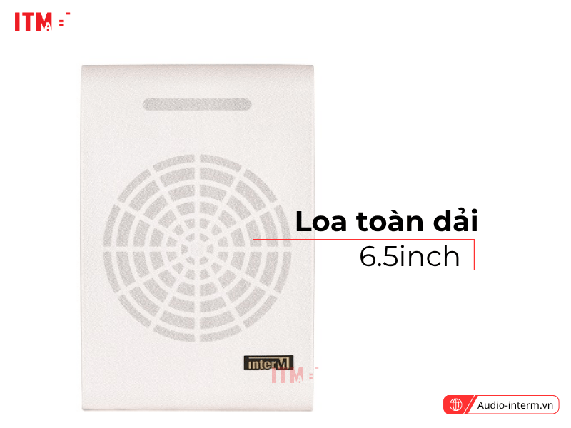 loa treo tường inter m sws 10 (3)