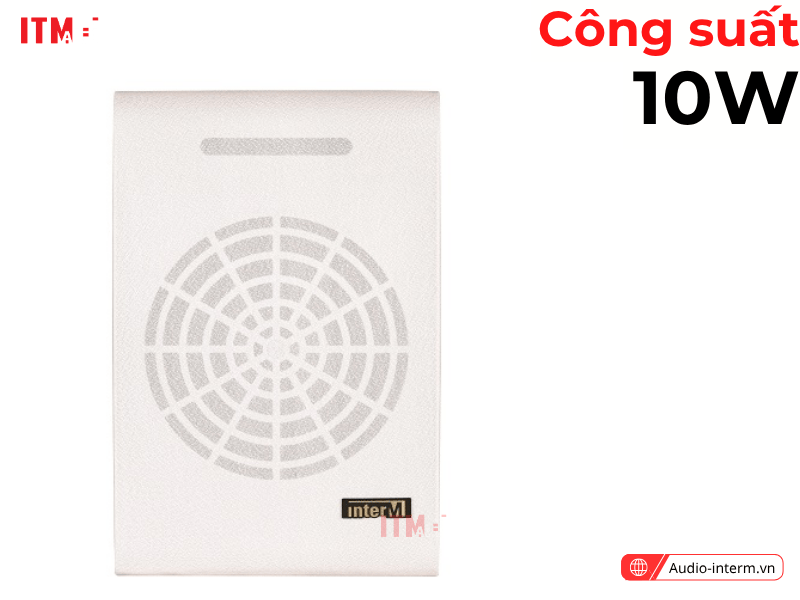 loa treo tường sws 10a (1)