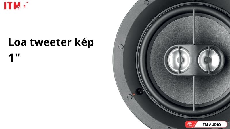 loa focal 100 ic6st