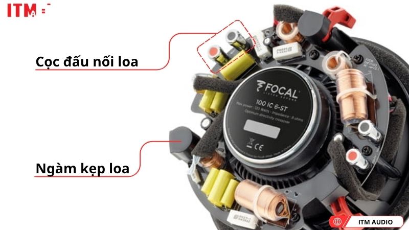 loa nghe nhac focal 100 ic6st