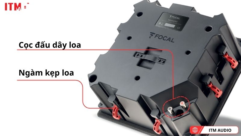 focal 100 iclcr5