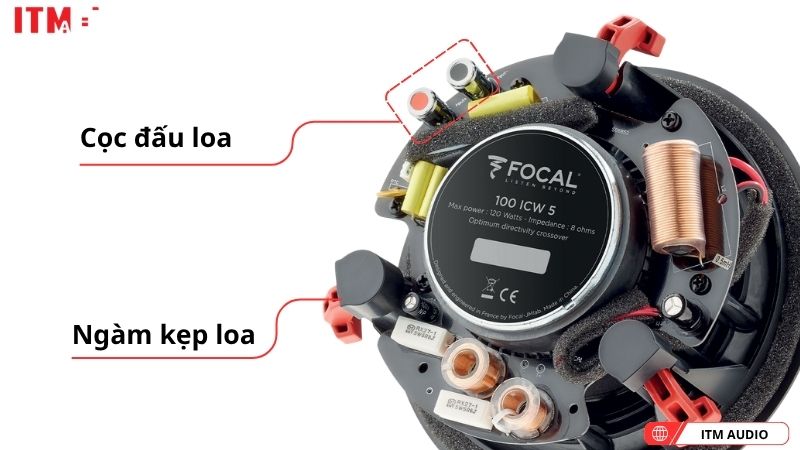 focal 100 icw5