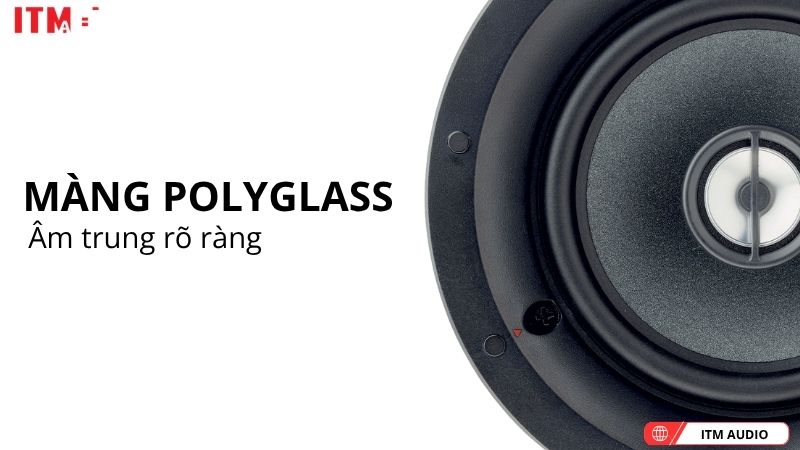 loa am tran focal 100 icw5