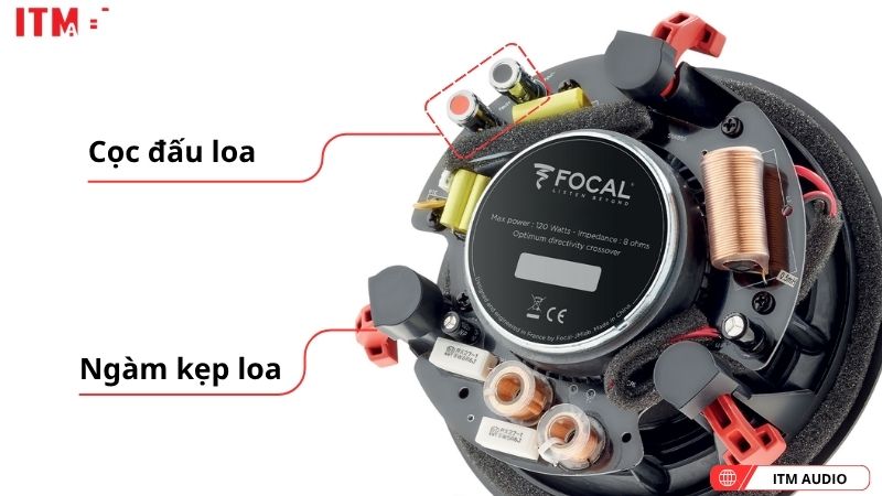 loa nghe nhac focal 100 icw8