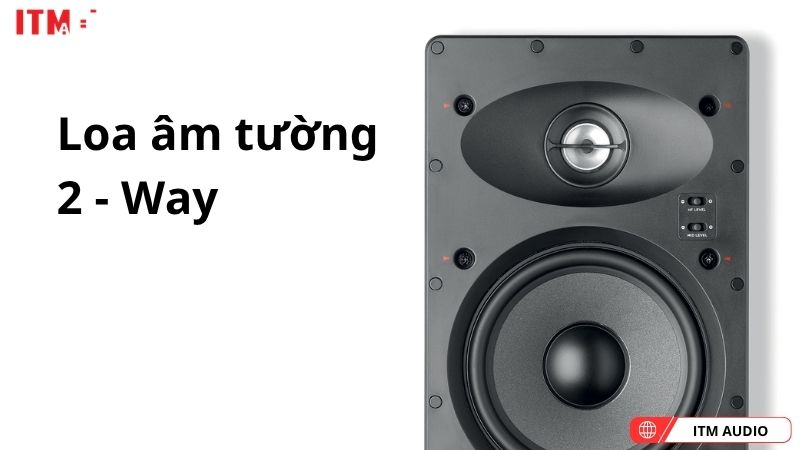 loa am tuong focal 100 iw8