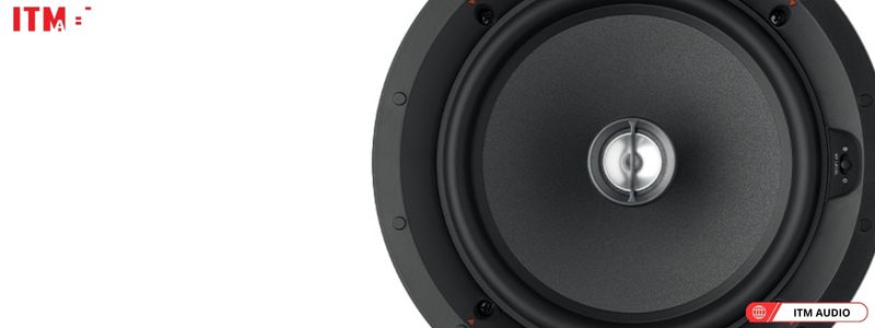loa focal 100 iw8