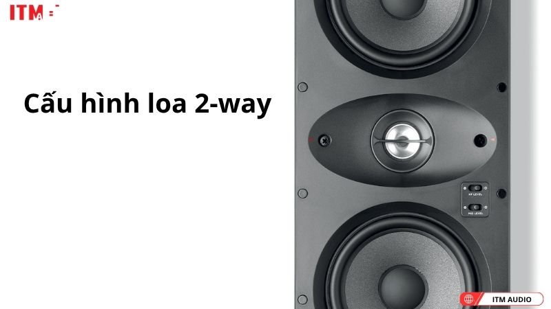 loa focal 100 iwlcr5