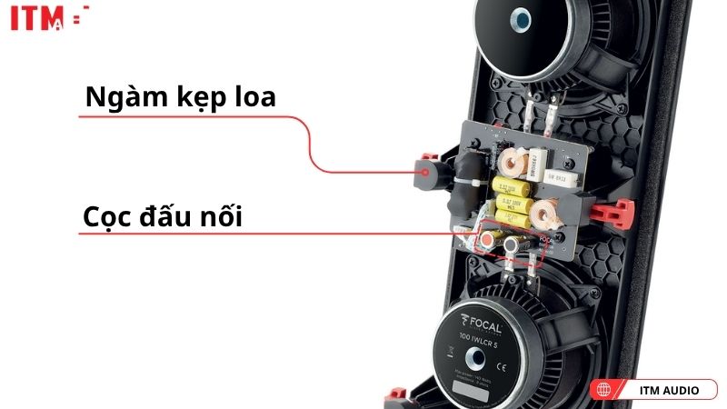 loa nghe nhac focal 100 iwlcr5