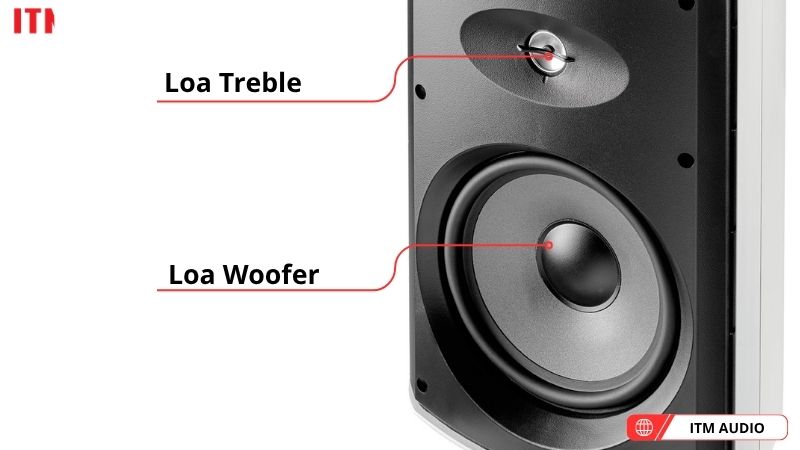 loa focal 100 od8 t