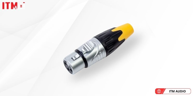 jack xlr 3 chan cai la 1132 g (2)