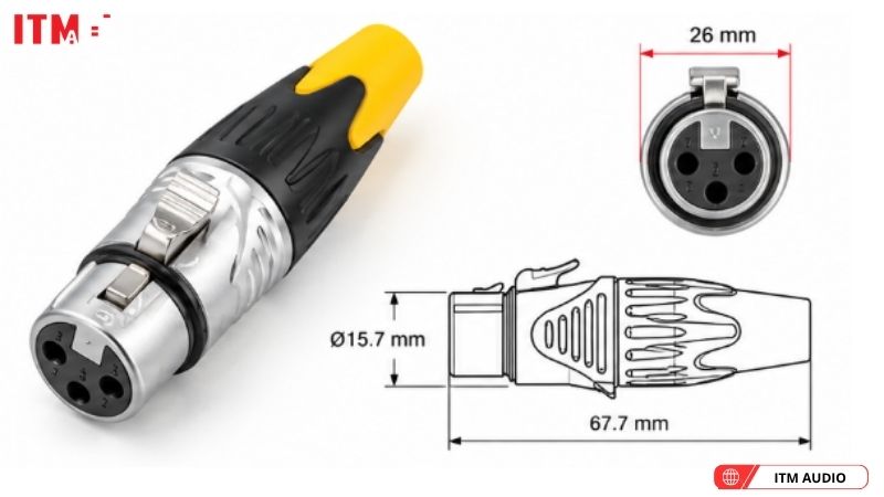 jack xlr 3 chan cai la 1132 g (4)