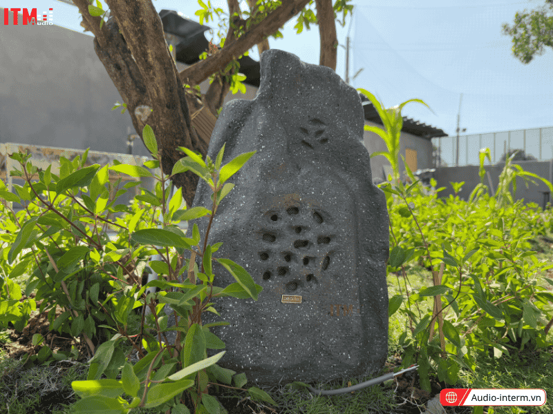 bố trí loa cho nhà hàng (4)