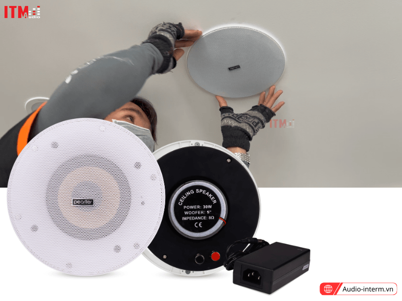 loa bluetooth cho nhà hàng (1)