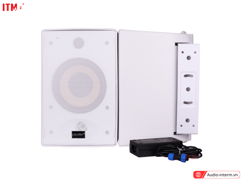 loa bluetooth cho nhà hàng (9)
