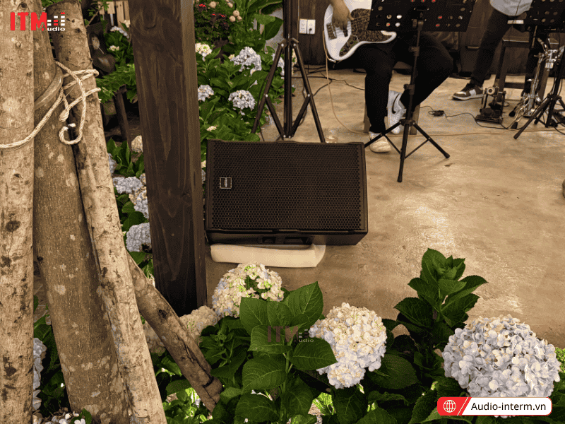 dàn âm thanh chơi nhạc acoustic (6)