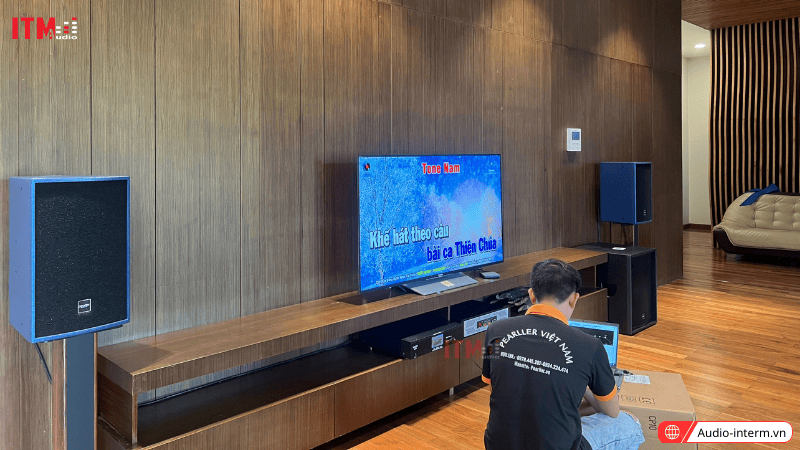 loa bass 25 công suất lớn (4)