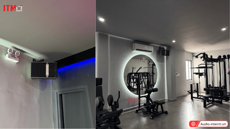 loa bass 25 công suất lớn (9)