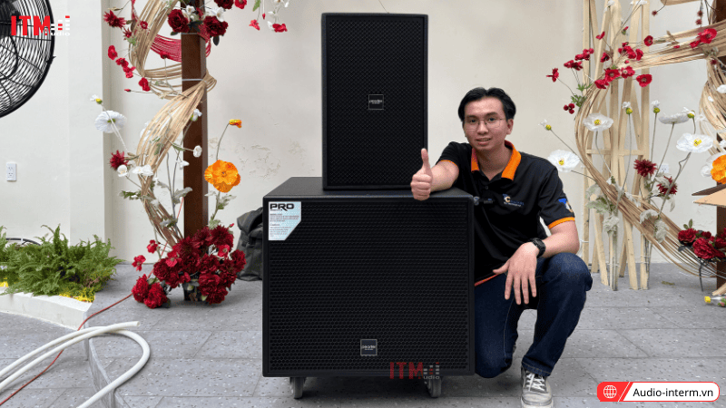 loa đám cưới công suất lớn (3)