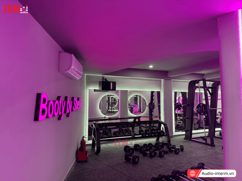 loa jbl công suất lớn (7)