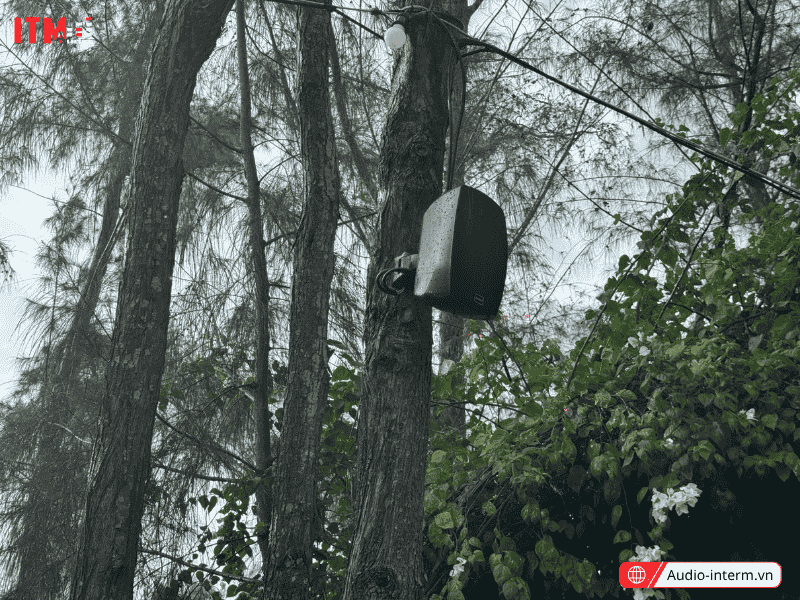 loa công suất lớn ngoài trời