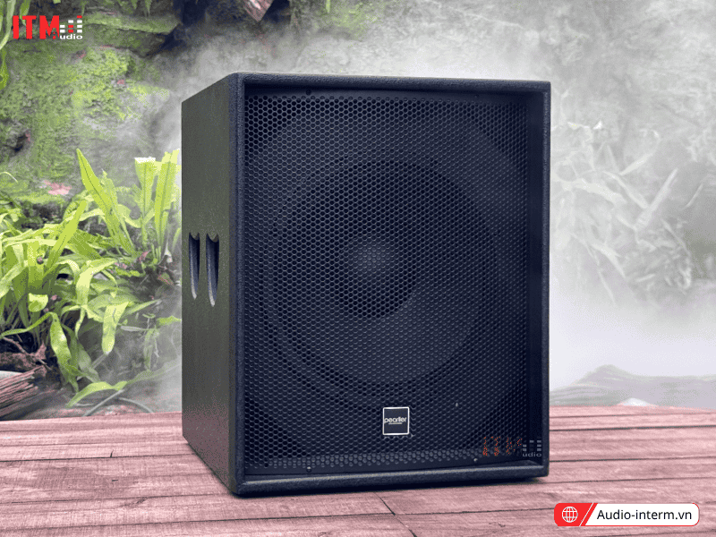 loa sân khấu 4 tấc (2)