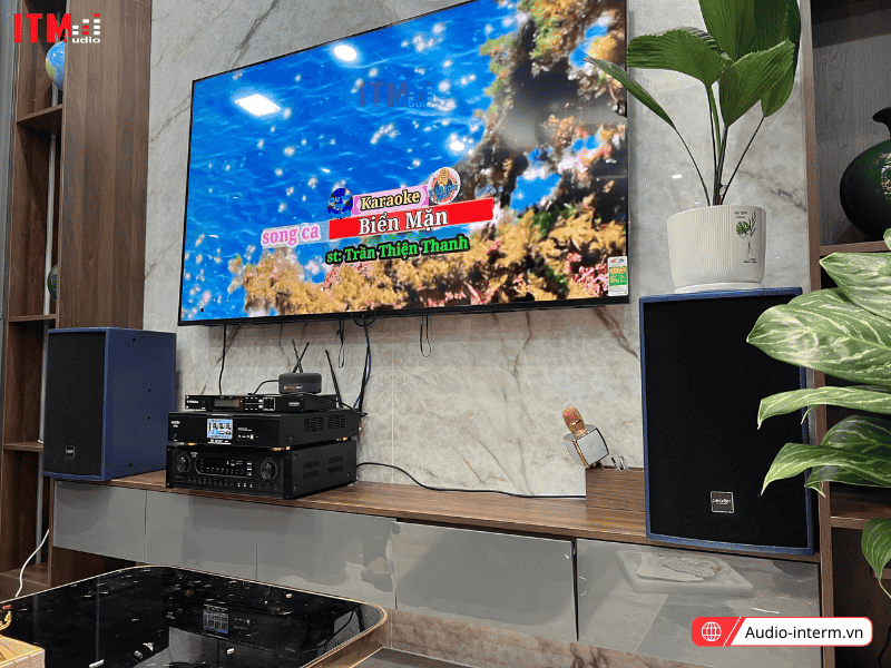 loa treo tường công suất lớn (9)