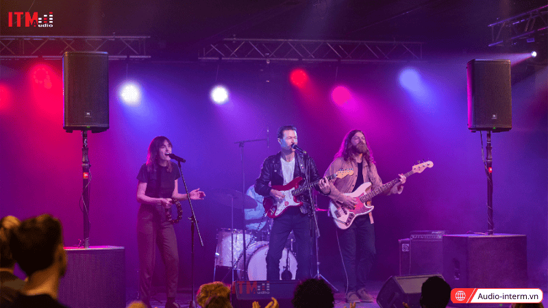 loa bass 30 công suất lớn (11)