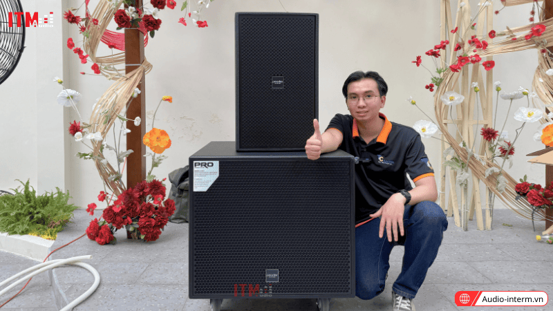 loa bass 30 công suất lớn (6)