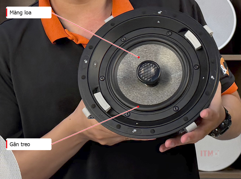 Cận cảnh củ loa Focal thật đã tháo lưới, có chỉ dẫn màng loa và gân treo