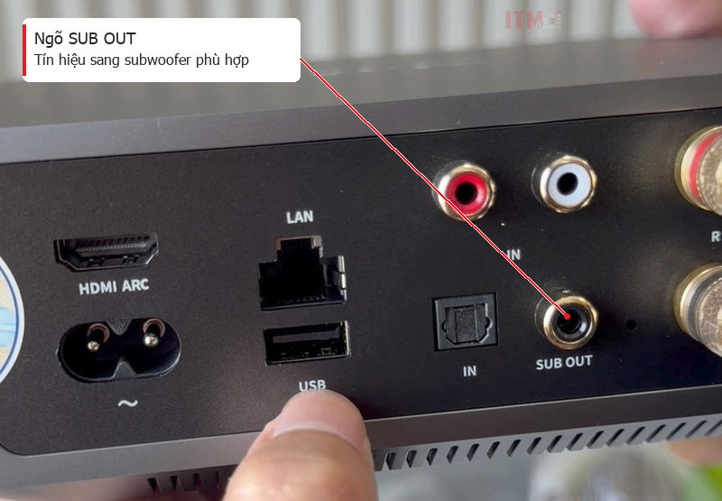 Cổng SUB OUT trên mặt sau ampli WiiM