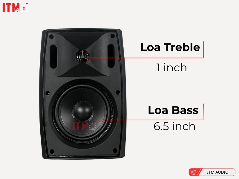 loa treo tuong 1