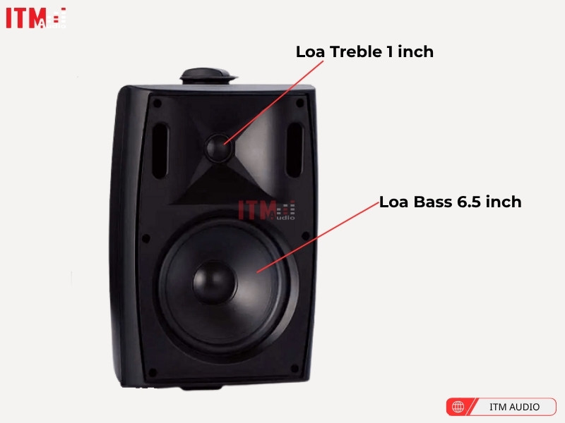 loa treo tuong pearller 2