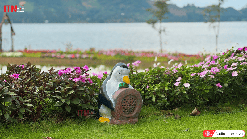 dàn âm thanh quán cafe sân vườn (9)