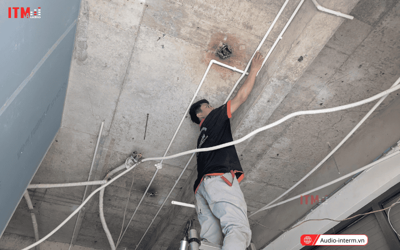 loa treo tường pearller cho nhà hàng (5)