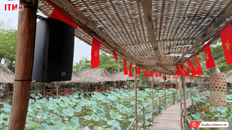 loa cho nhà hàng sen nam bộ (2)