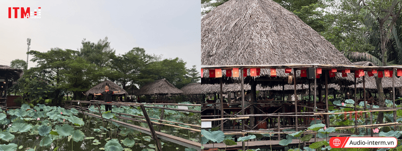 loa nghe nhạc cho nhà hàng sen nam bộ (1)