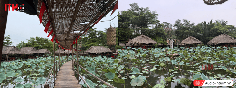 loa nghe nhạc cho nhà hàng sen nam bộ (7)