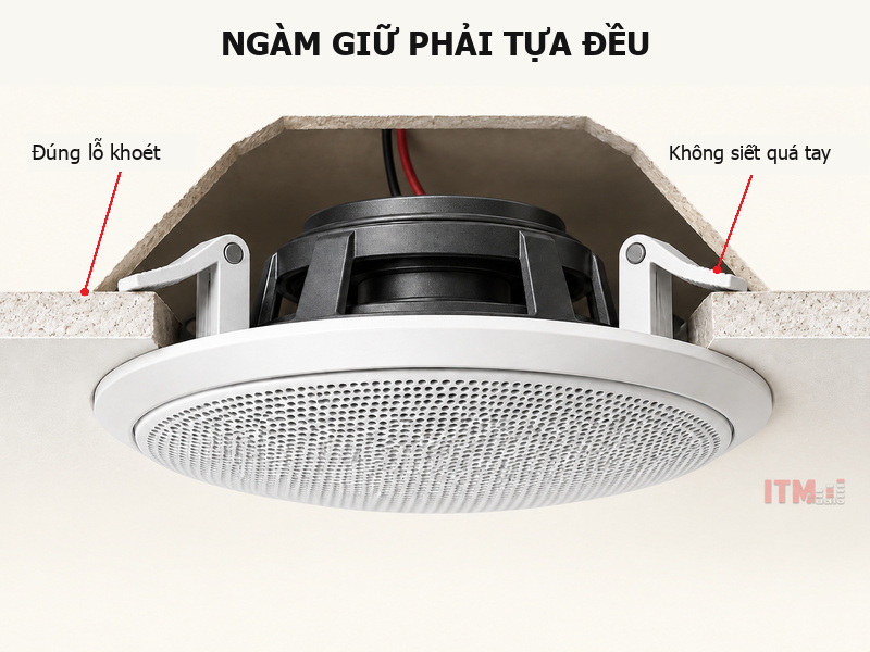 Mặt cắt loa âm trần với vành loa và ngàm giữ tựa trên tấm trần