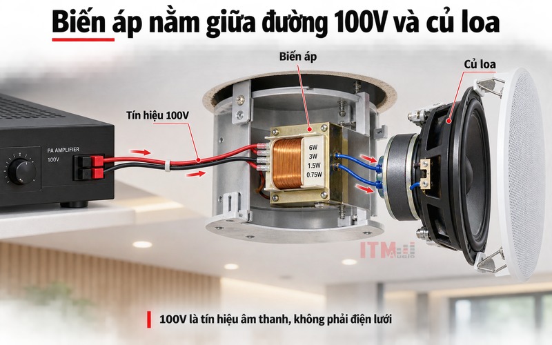 Biến áp của loa nhận tín hiệu âm thanh từ đường loa 100V