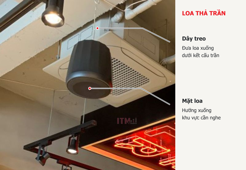 Loa thả trần JBL Control 65 P/T với dây treo và mặt loa hướng xuống